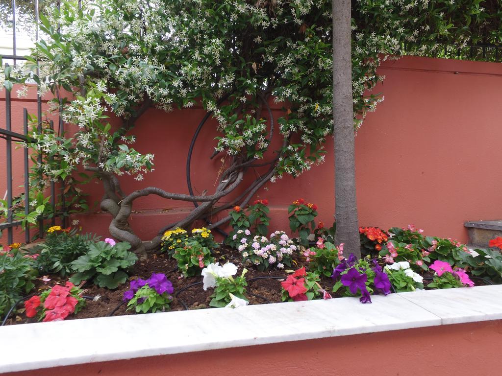 Villaroza PalaiónTsiflíkion 外观 照片
